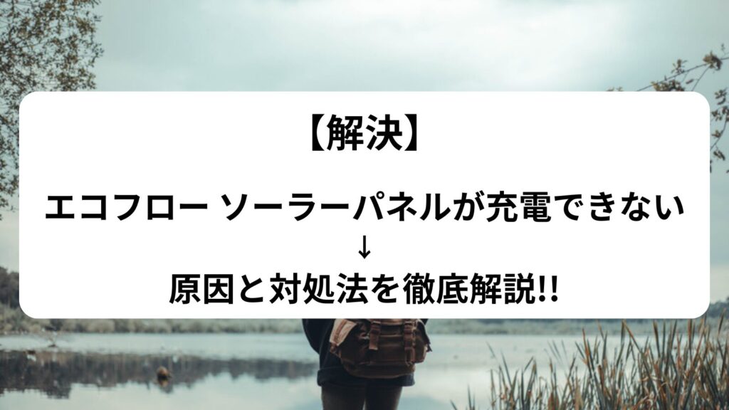 エコフロー　ソーラーパネル　充電できない